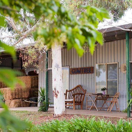 Villa Peppertree Farm Mudgee Exterior foto
