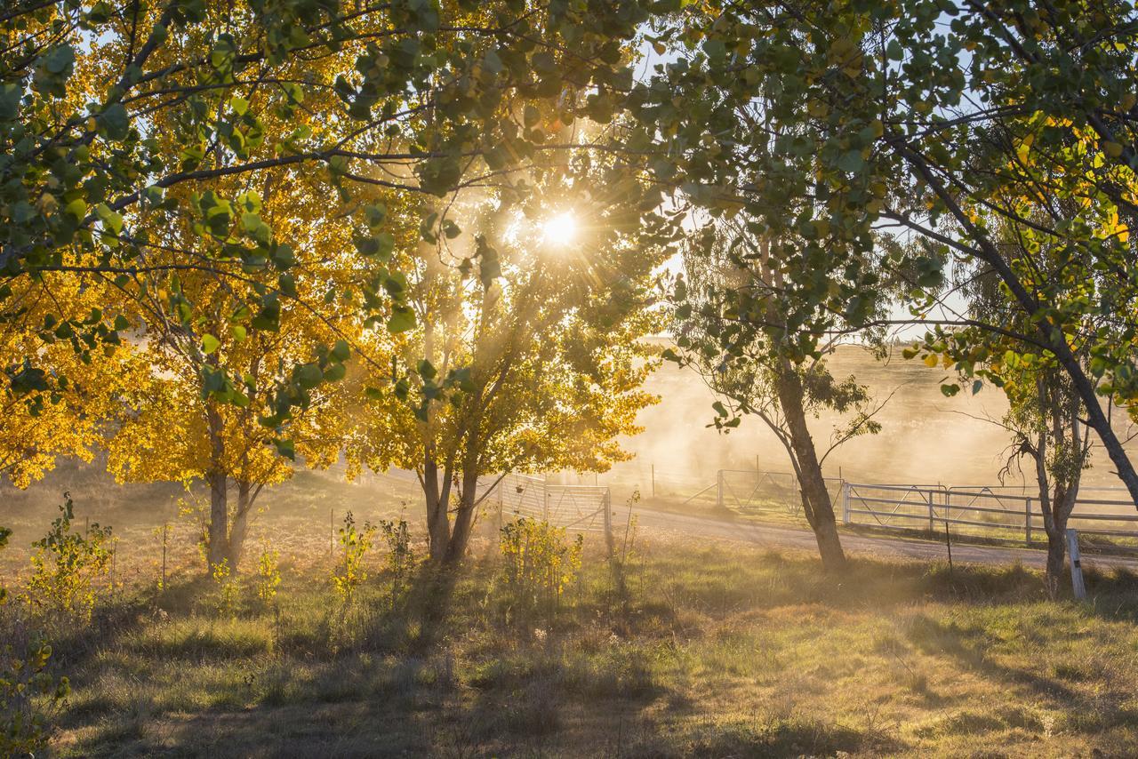 Villa Peppertree Farm Mudgee Exterior foto